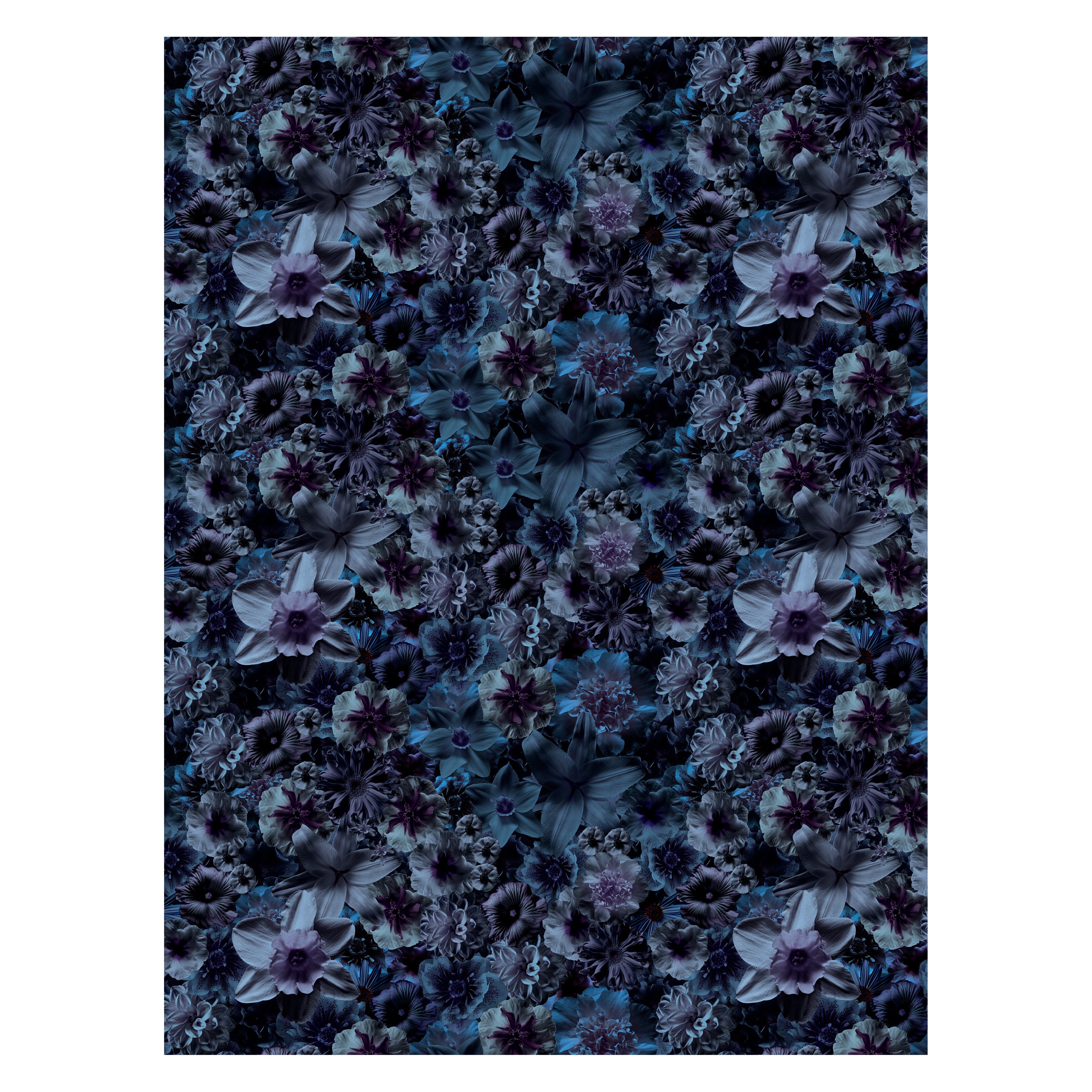 Grand tapis rectangulaire Flowergarden Night de Moooi en laine avec finition à ourlet aveugle