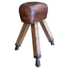 Gymnastic Vintage Leather Pommel Horse