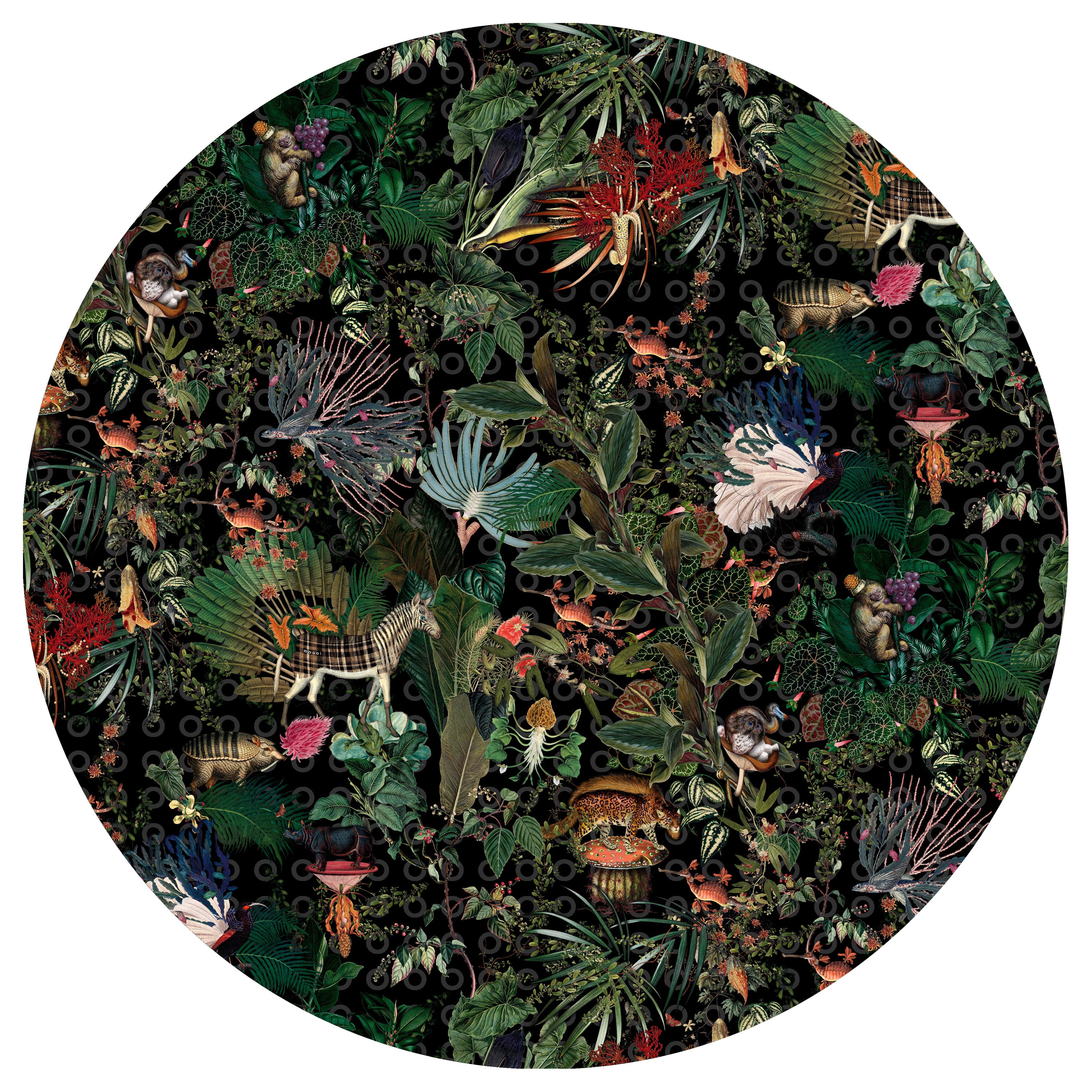 Moooi Large Menagerie of Extinct Animals Raven Round Rug in Low Pile Polyamide For Sale