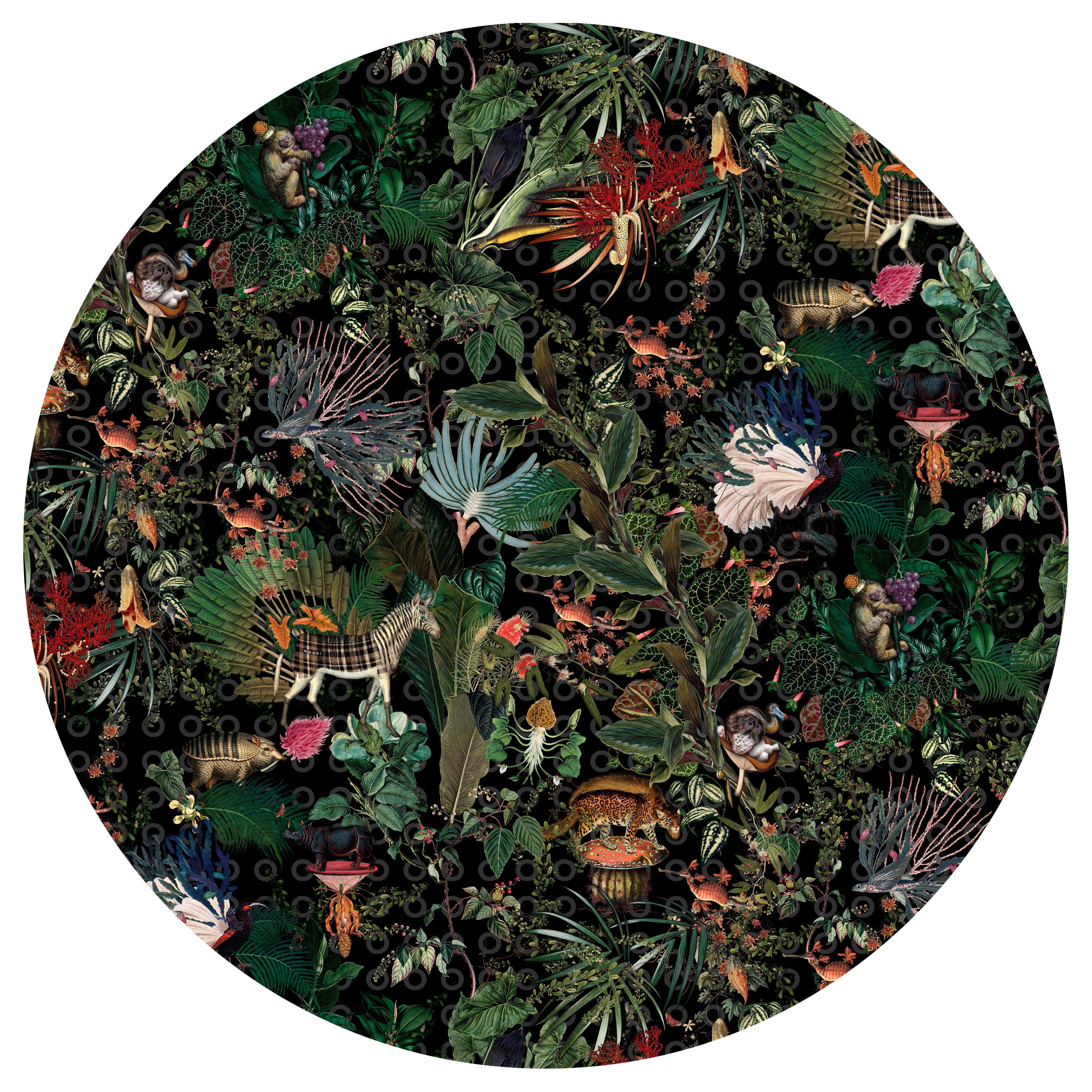Moooi Large Menagerie of Extinct Animals Raven Round Rug in Wool with Blind Hem