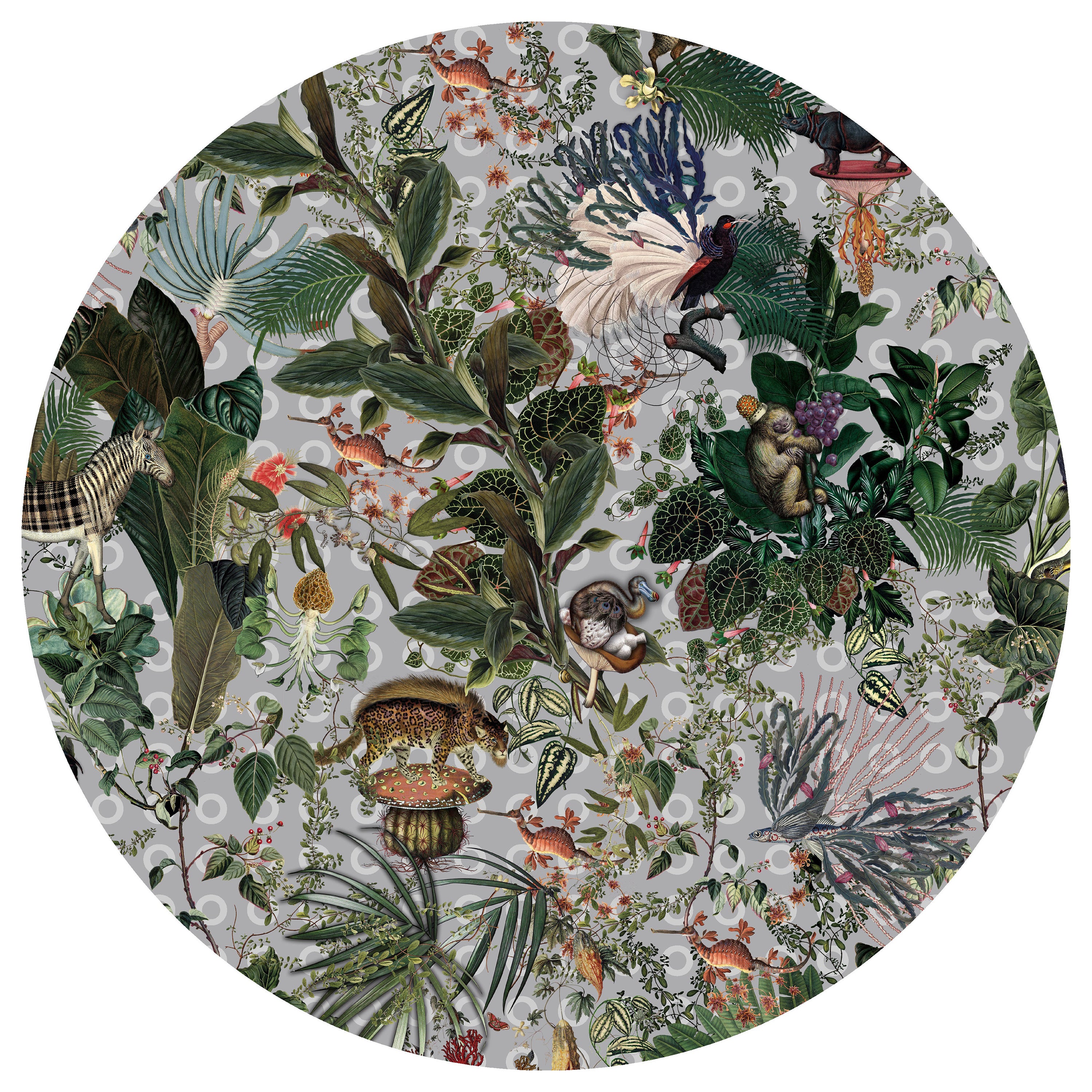 Moooi Small Menagerie of Extinct Animals Cloud Round Rug in Low Pile Polyamide For Sale
