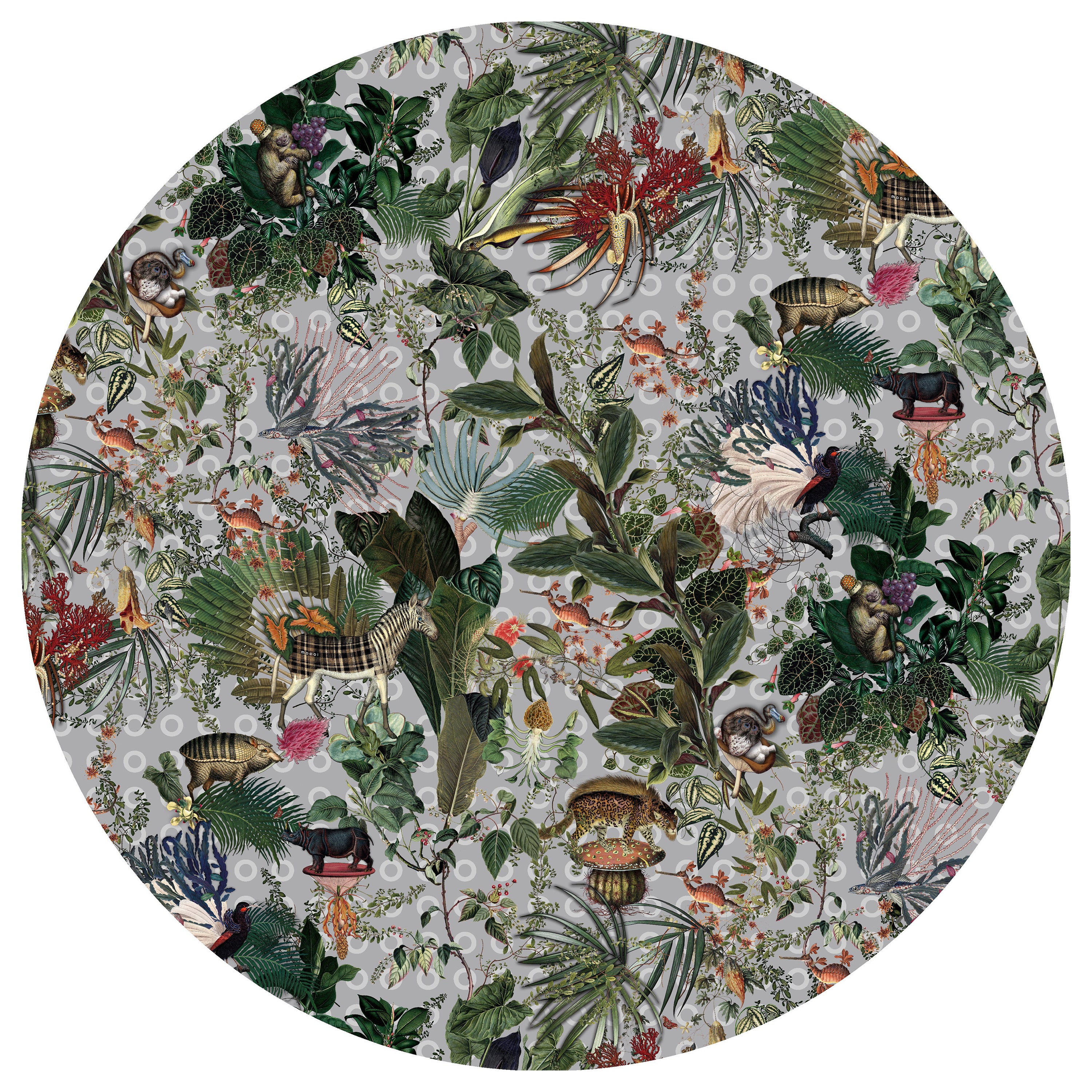 Moooi Large Menagerie of Extinct Animals Cloud Round Rug in Low Pile Polyamide For Sale