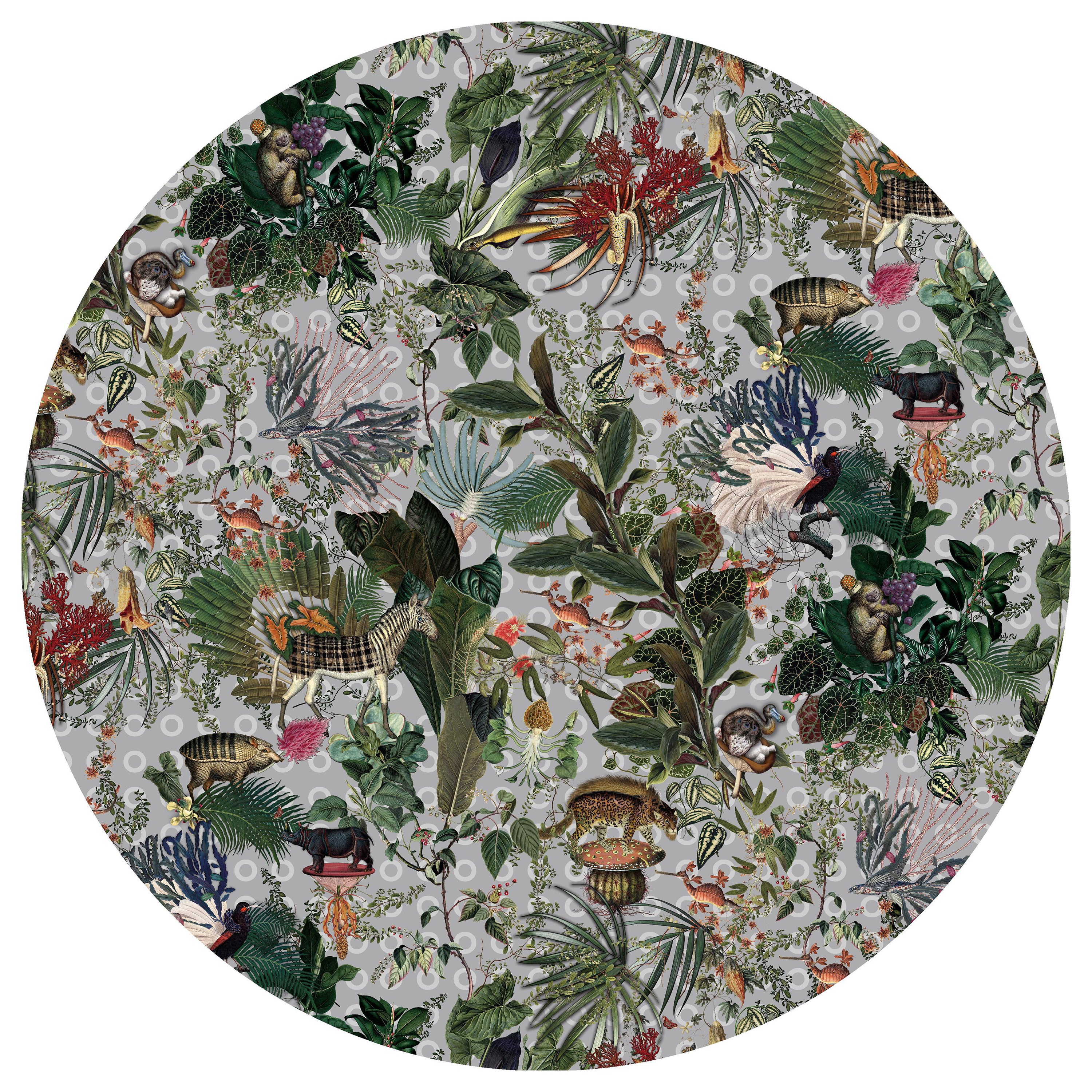 Moooi Large Menagerie of Extinct Animals Cloud Round Rug in Soft Yarn Polyamide