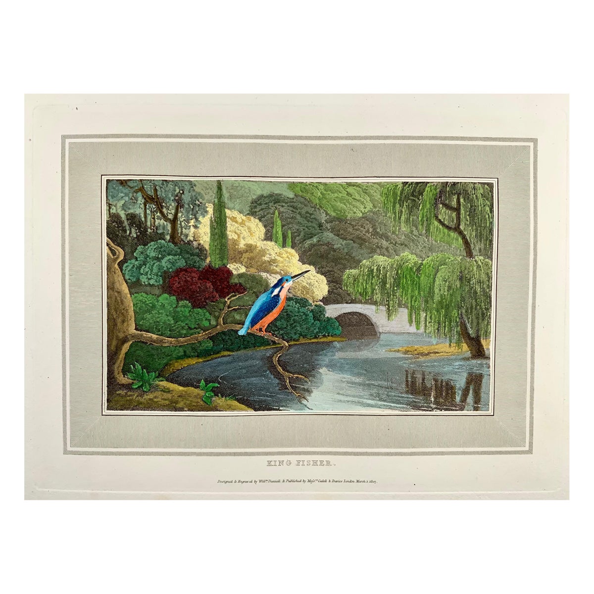 1807 William Daniell, Kingfisher, Ornithology, Hand Coloured Aquatint For Sale