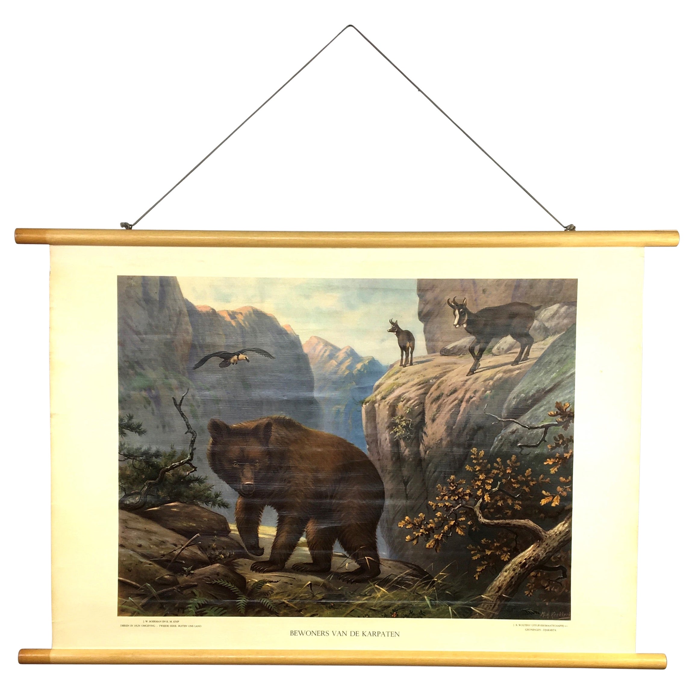 Vintage School Chart Bear and Inhabitants of the Carpathians For Sale