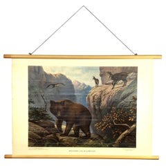 Tableau d'école vintage Ours et habitants des Carpates