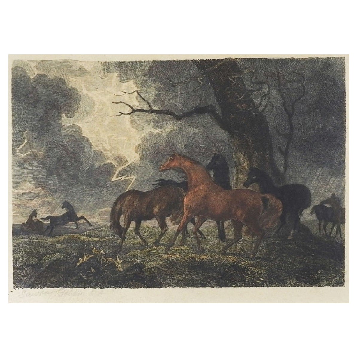 Antique Sawrey Gilpin Horses in Thunderstorm Etching