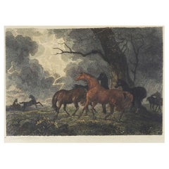 Antike antike Sawrey Gilpin Pferde in Thunderstorm-Radierung