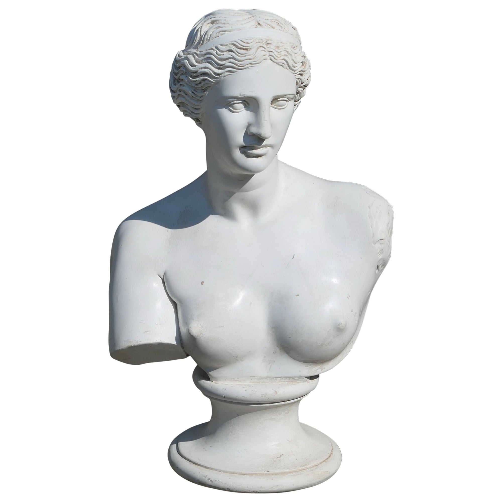 Buste de la Vénus de Milo en plâtre de bonne qualité