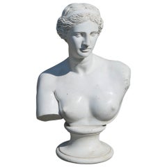Antique Good Plaster Bust of the Venus De Milo