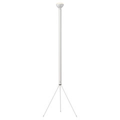 Flos Luminator Floor Lamp in White with Iron and Metal Frame