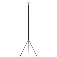 Flos Luminator Floor Lamp in Anthracite with Iron and Metal Frame