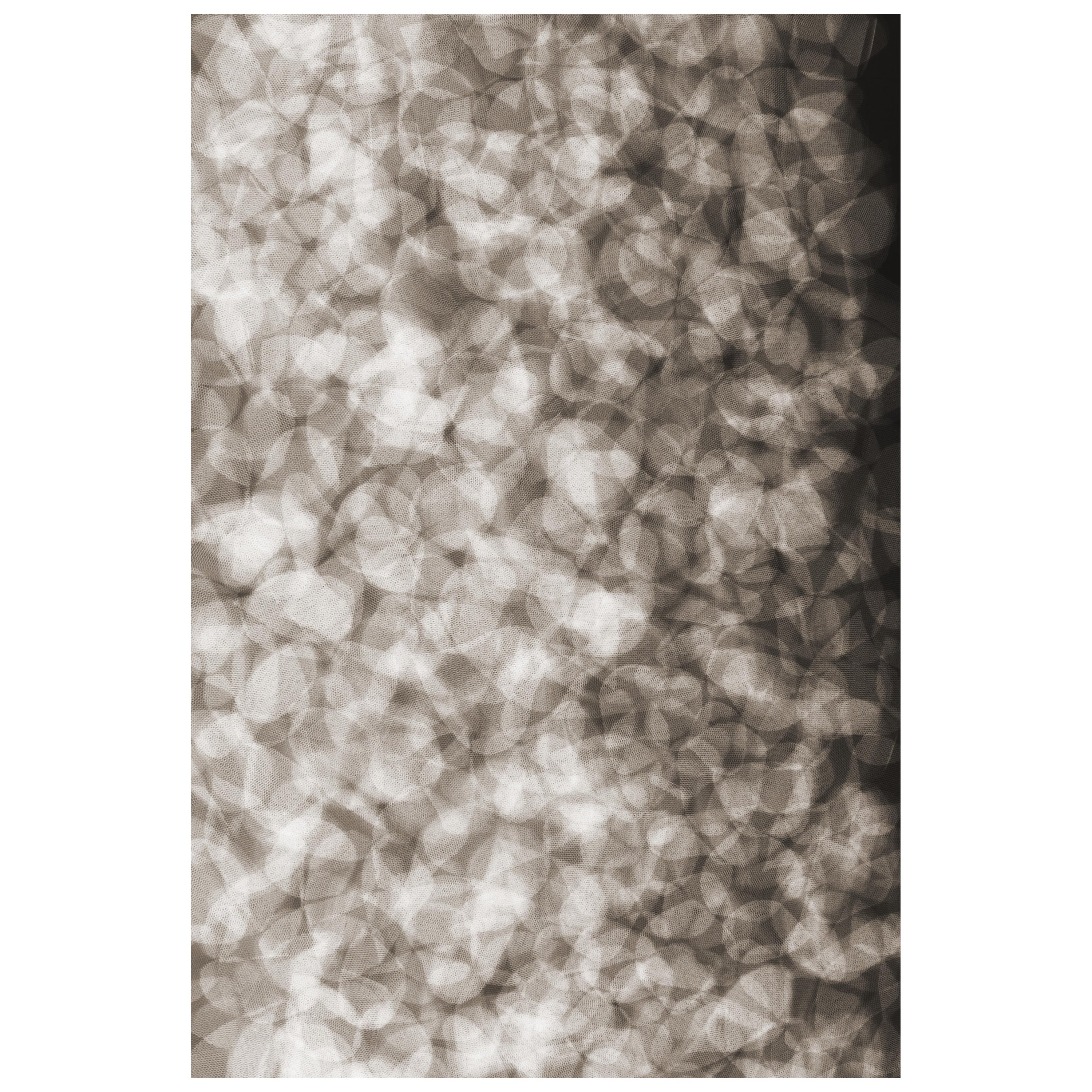 Kleiner Moooi-Teppich aus Wolle mit fließenden Blütenblättern und Blindsaum von Ferry Schiffelers