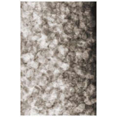 Moooi Medium Lying Petals Teppich aus Wolle mit Blindsaum von Ferry Schiffelers