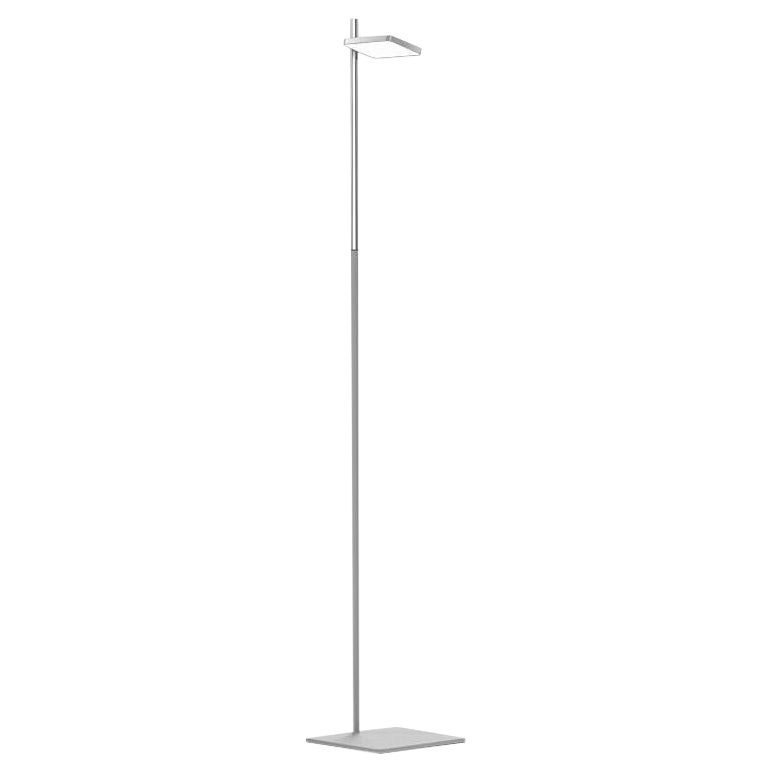 Talia Floor Lamp in Grey Matt/Gloss and Chrome Finish by Pablo Designs For Sale