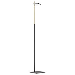 Talia Floor Lamp in Black Matt/Gloss and Brass Finish by Pablo Designs