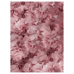 Moooi Large Hortensia Pink Rectangle Rug in Wool with Blind Hem Finish