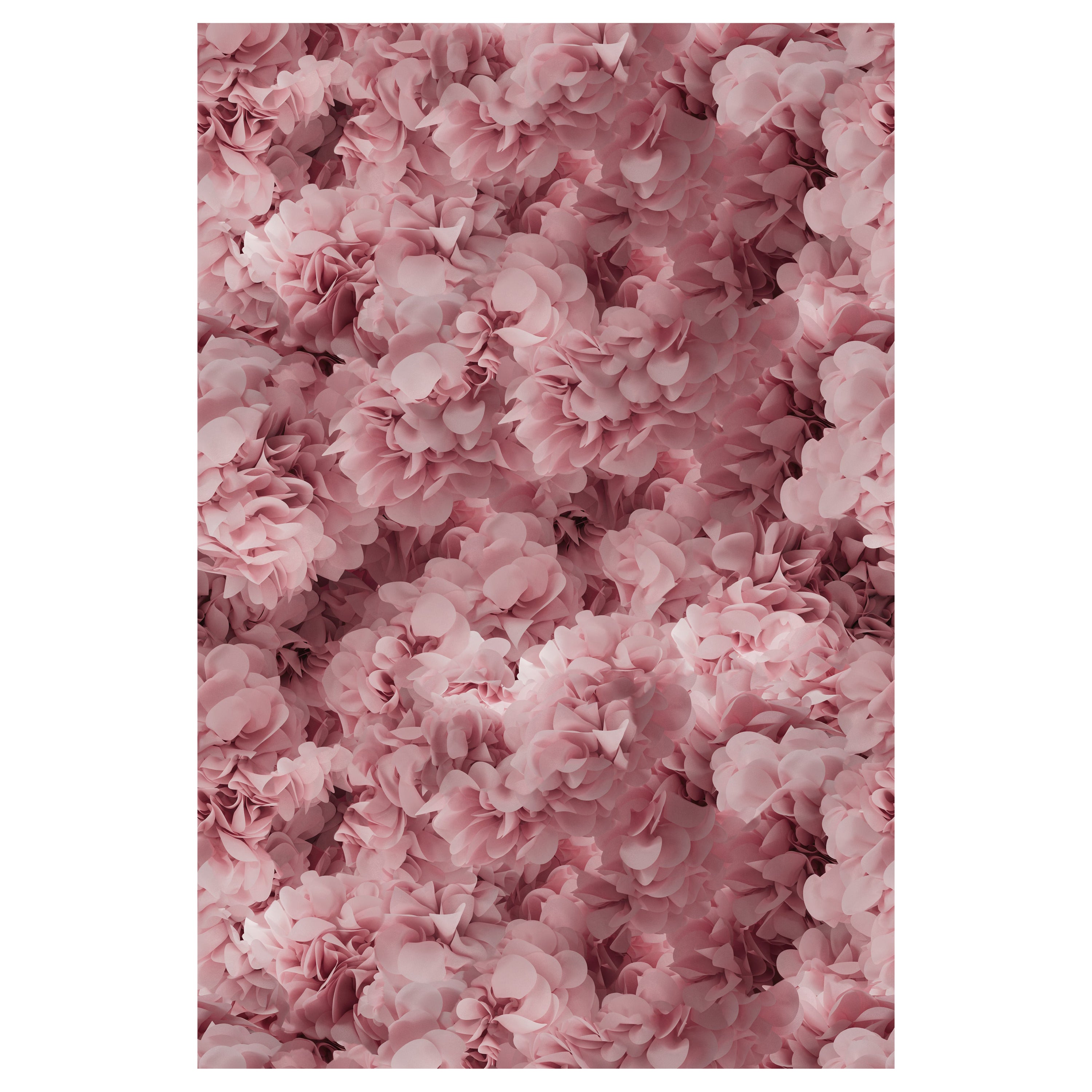 Moooi Small Hortensia Pink Rectangle Rug in Soft Yarn Polyamide For Sale