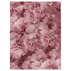 Moooi Large Hortensia Pink Rectangle Rug in Soft Yarn Polyamide