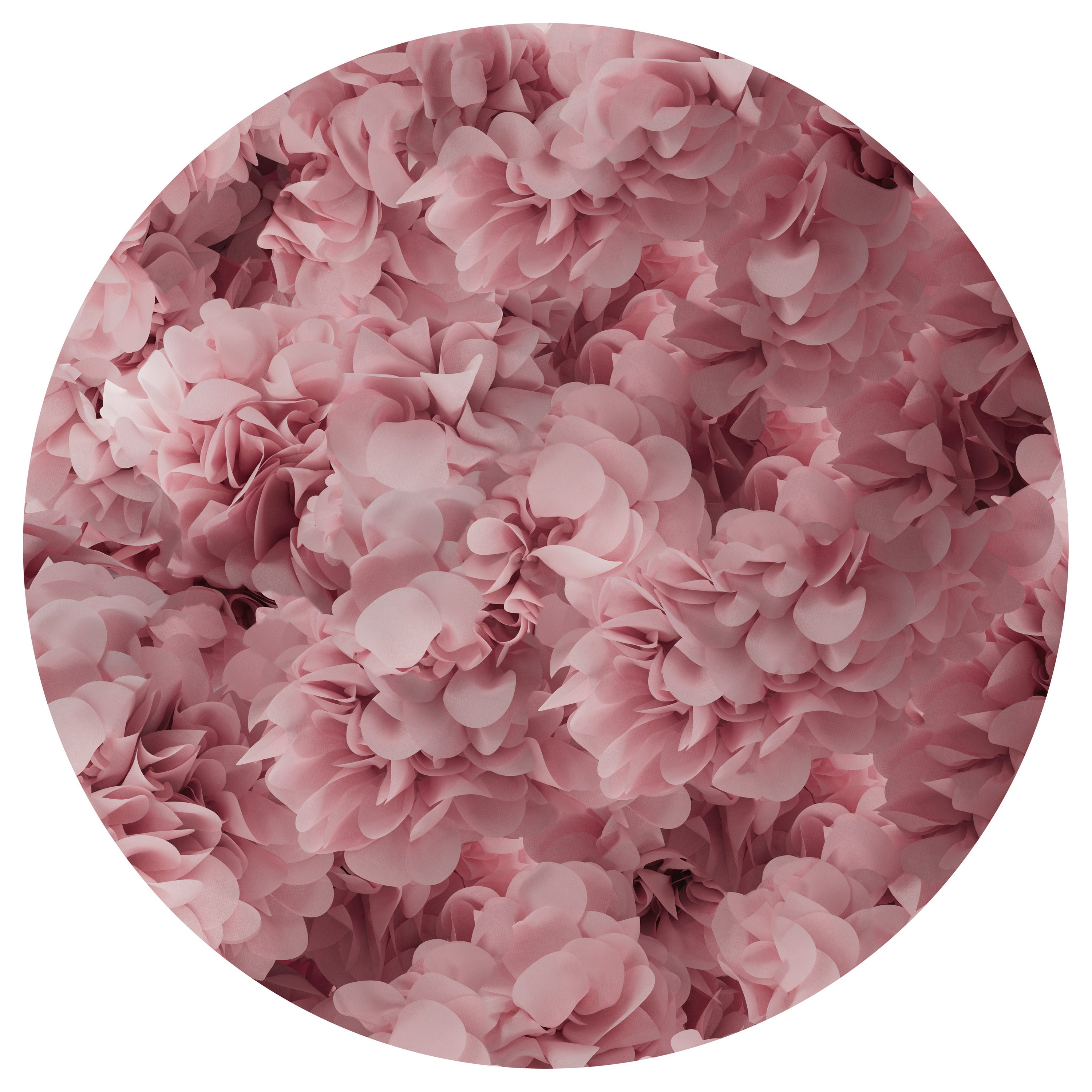 Grand tapis rond Moooi rose Hortensia en polyamide à poils bas d'Andrs Reisinger