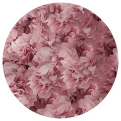 Moooi Grand tapis rond rose Hortensia en polyamide à fil doux Andrés Reisinger