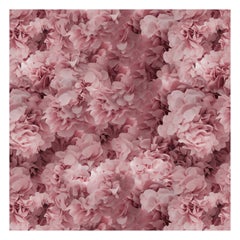 Moooi Small Hortensia Pink Square Rug in Wool with Blind Hem Finish