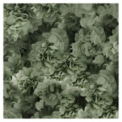 Moooi Large Hortensia Green Square Rug in Soft Yarn Polyamide, Andrés Reisinger