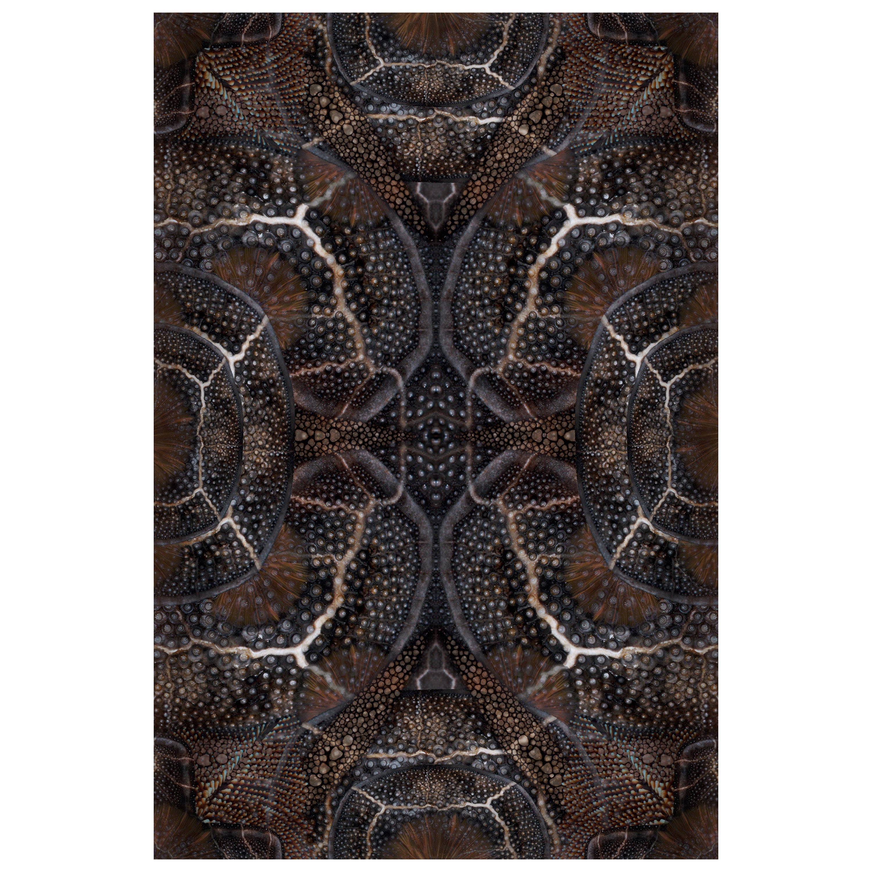 Moooi: „Extinct Animals“, blühender Seadragon-Teppich aus Polyamide mit niedrigem Flor
