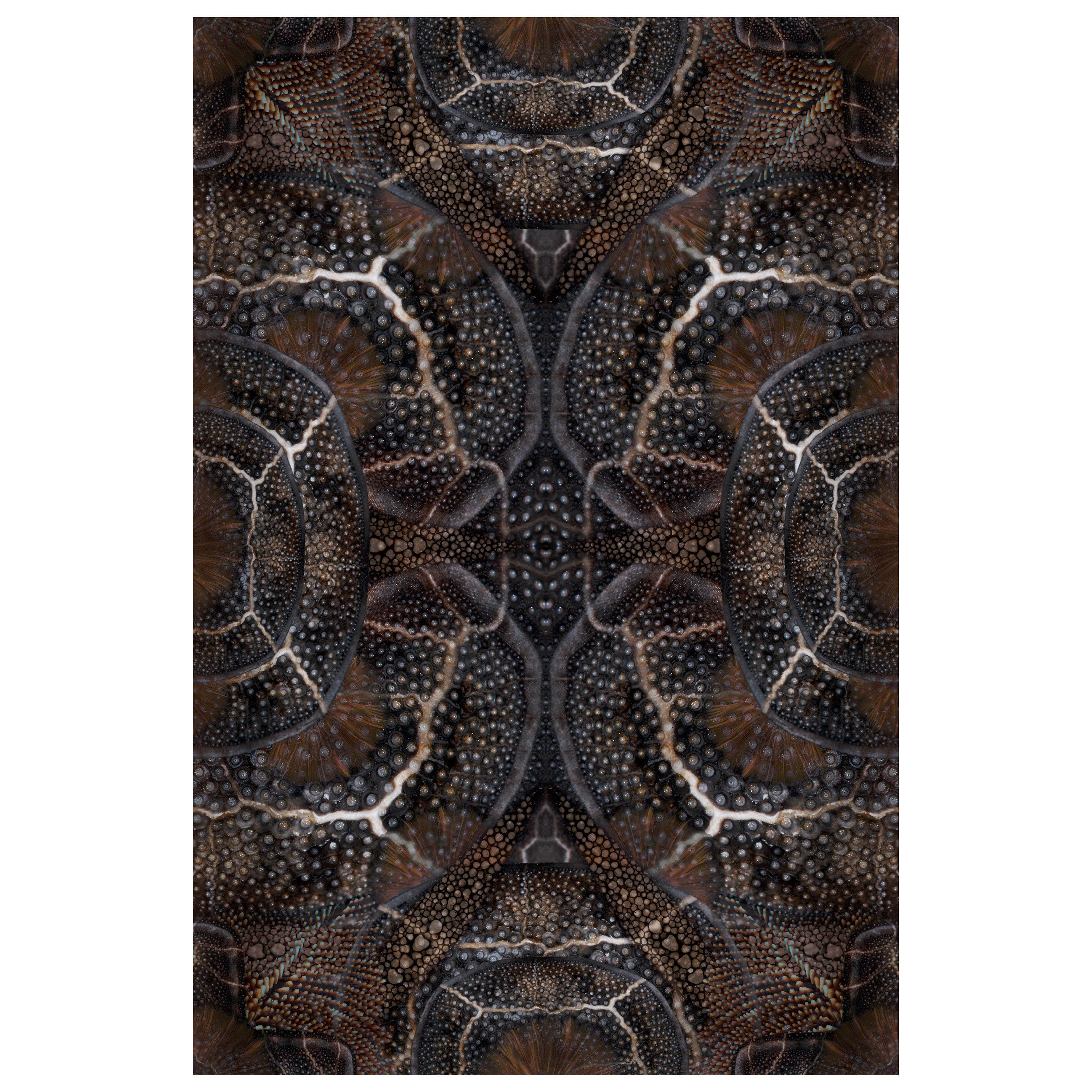 Moooi Großer, aussterbender, blühender Seadragon-Teppich mit Tieren aus niedrigem Polyamide mit tiefem Flor