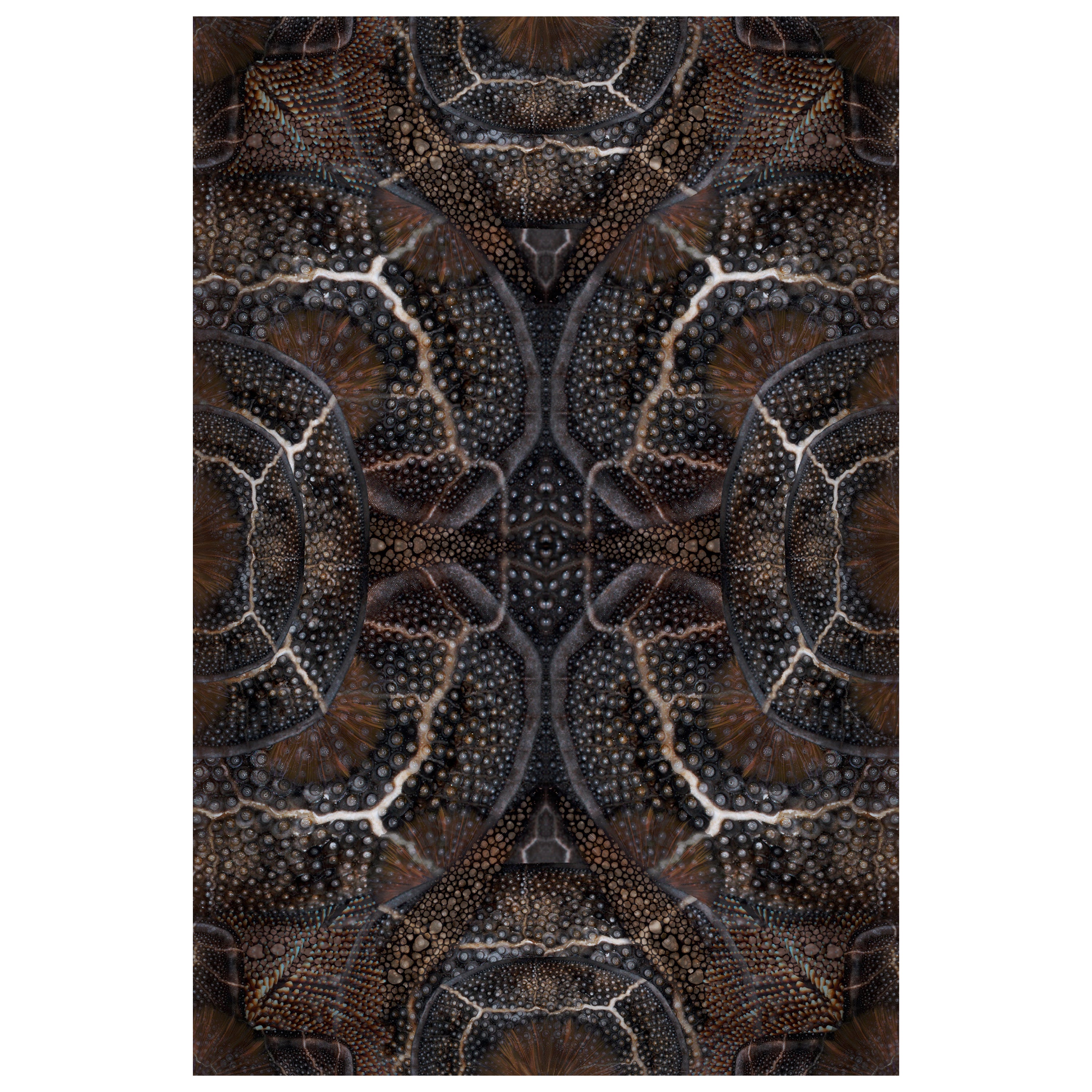 Kleiner Moooi-Teppich aus Wolle mit ausgestorbenen Tieren und blühendem Perlmutt