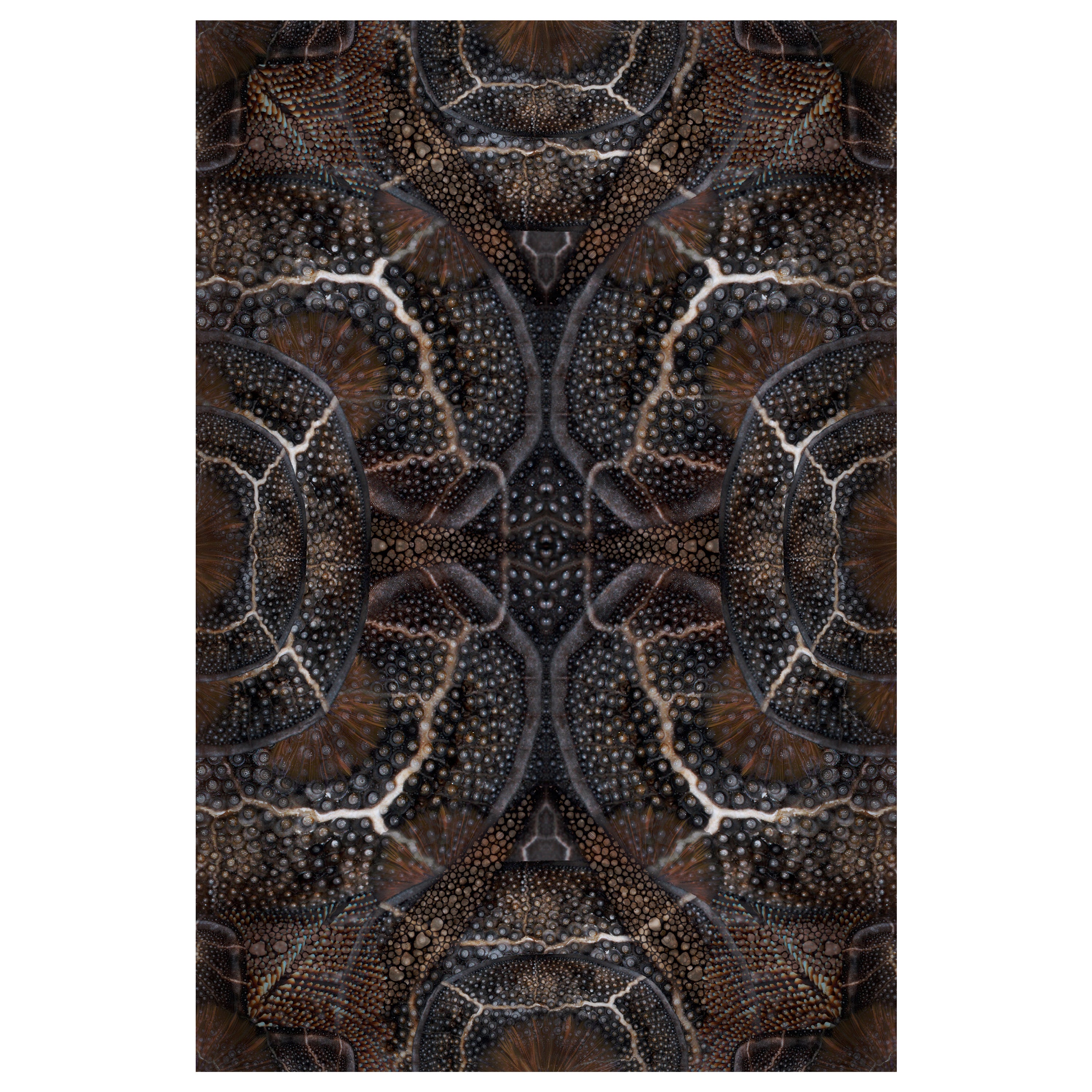 Grand tapis Moooi en laine à motifs d'animaux en fleurs de séadragon (rare)