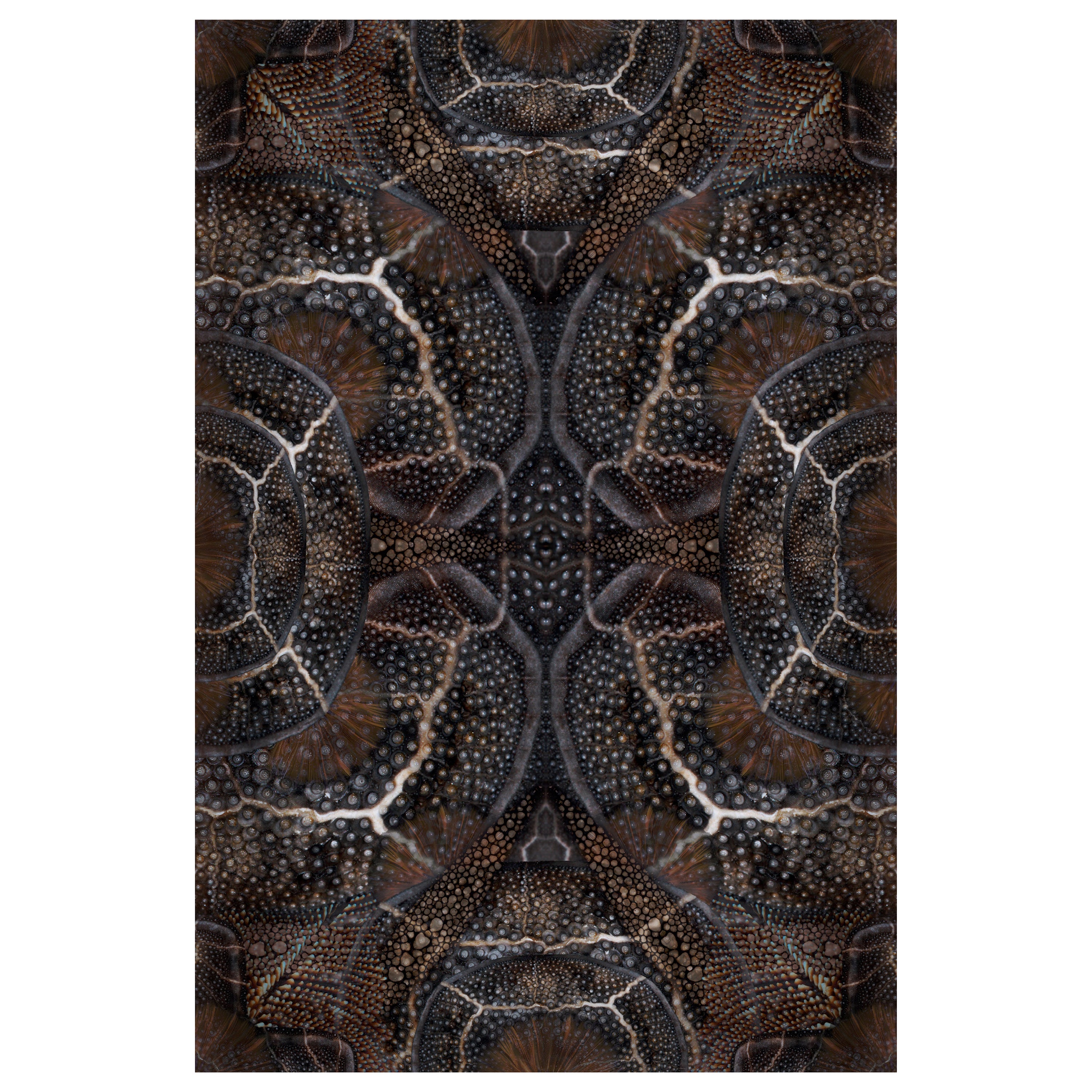 Grand tapis Moooi en polyamide à motifs d'animaux en fleurs d'escargots, en tissu souple