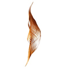 'Twisting by Soo Joo' Hanging Wooden Sculpture
