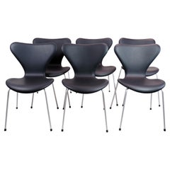 Set Of Six Series Seven Chairs Model 3107 By Arne Jacobsen For Fritz Hansen