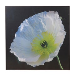 Betty Edge, "Metallic Blue Poppy" Floral Print