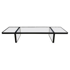 Lucite Coffee Table / Bench in Clear & Black Lucite by Amparo Calderon Tapia