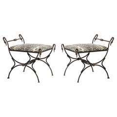 Pair of French Mid-Century Brass Swan and Iron Benches