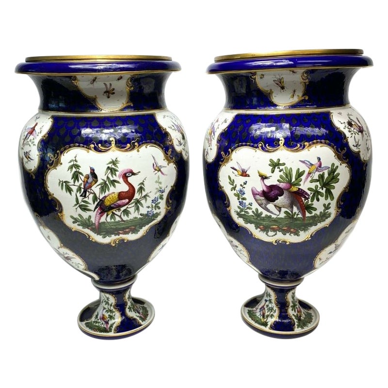 Exceptional Pair Dr. Wall Period Royal Worcester Exotic Bird Vases, C. 1770 For Sale