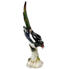 Meissen Germany Hand Painted Porcelain Figure of a Magpie, circa 1880