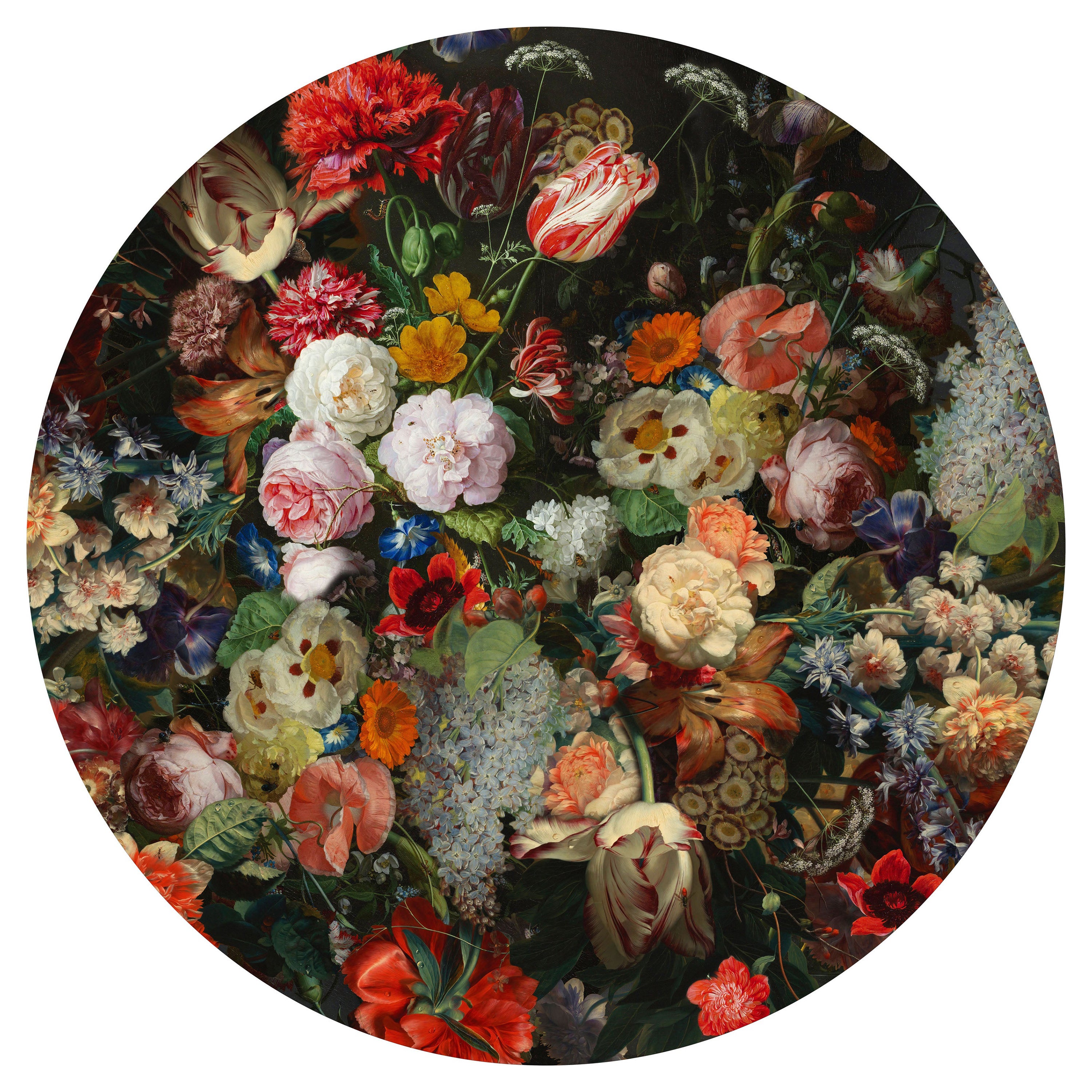 Alfombra redonda Moooi Small Eden Queen de lana by Marcel Wanders Studio