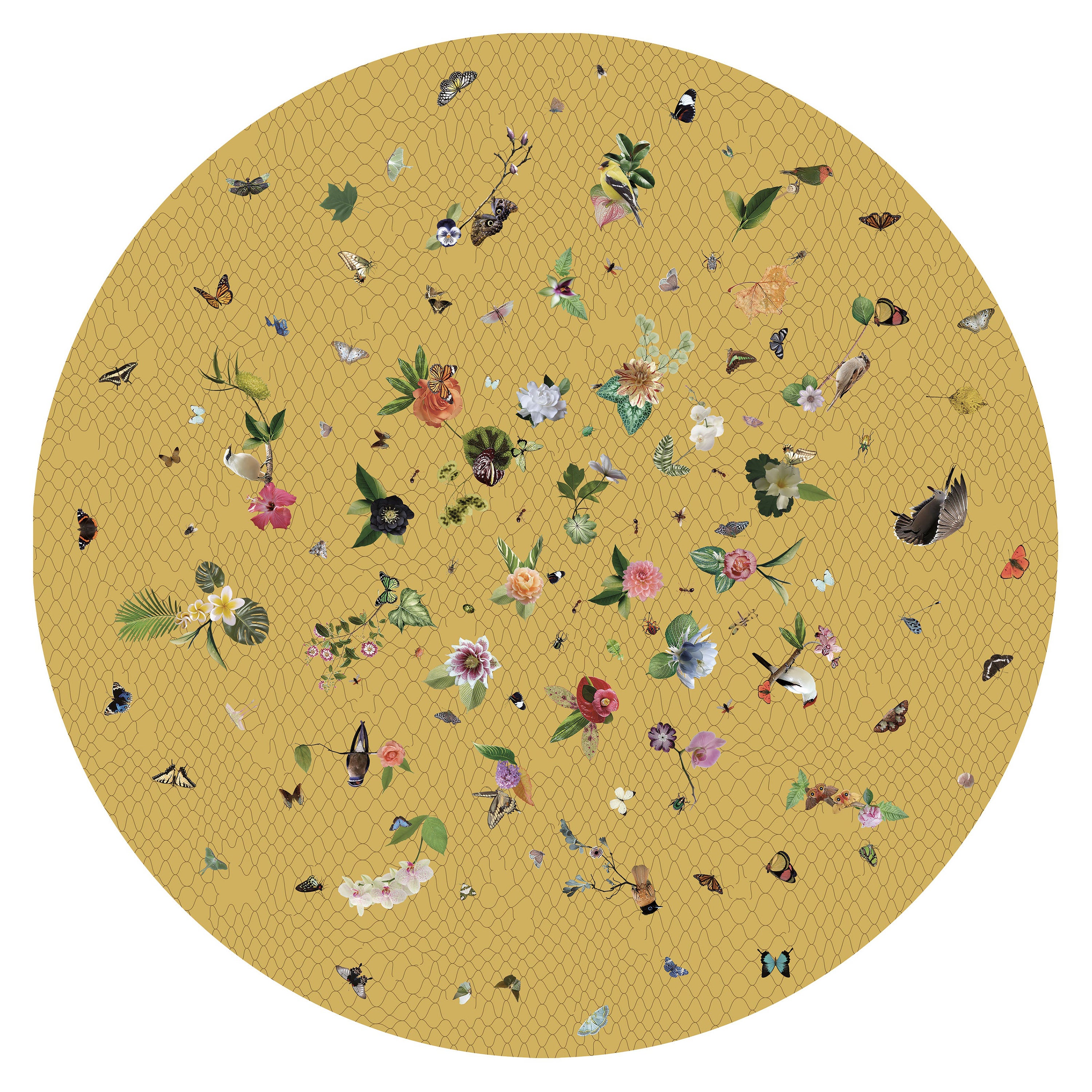 Gelber Teppich aus Wolle von Edward Van Vliet „Small Garden of Eden“ von Moooi im Angebot