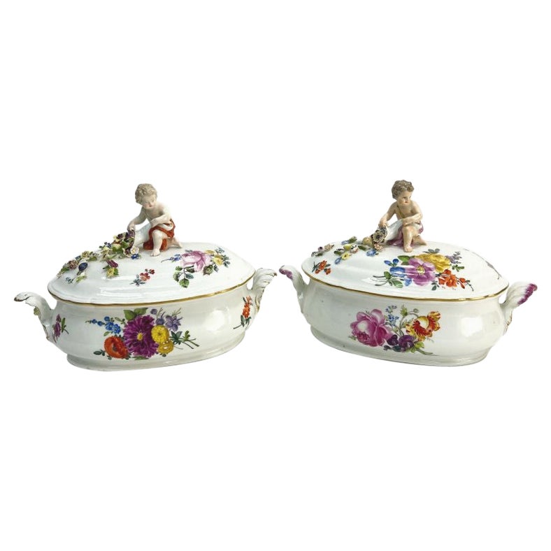 Pair of Meissen Germany Porcelain Hand Painted Covered Tureens, 19th Century