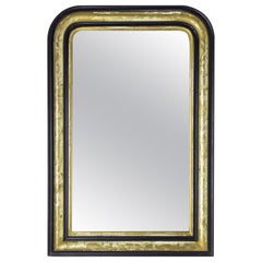 Antique French Stucco Louis Philippe Mirror Imitation Wood and Gilding, circa 1870