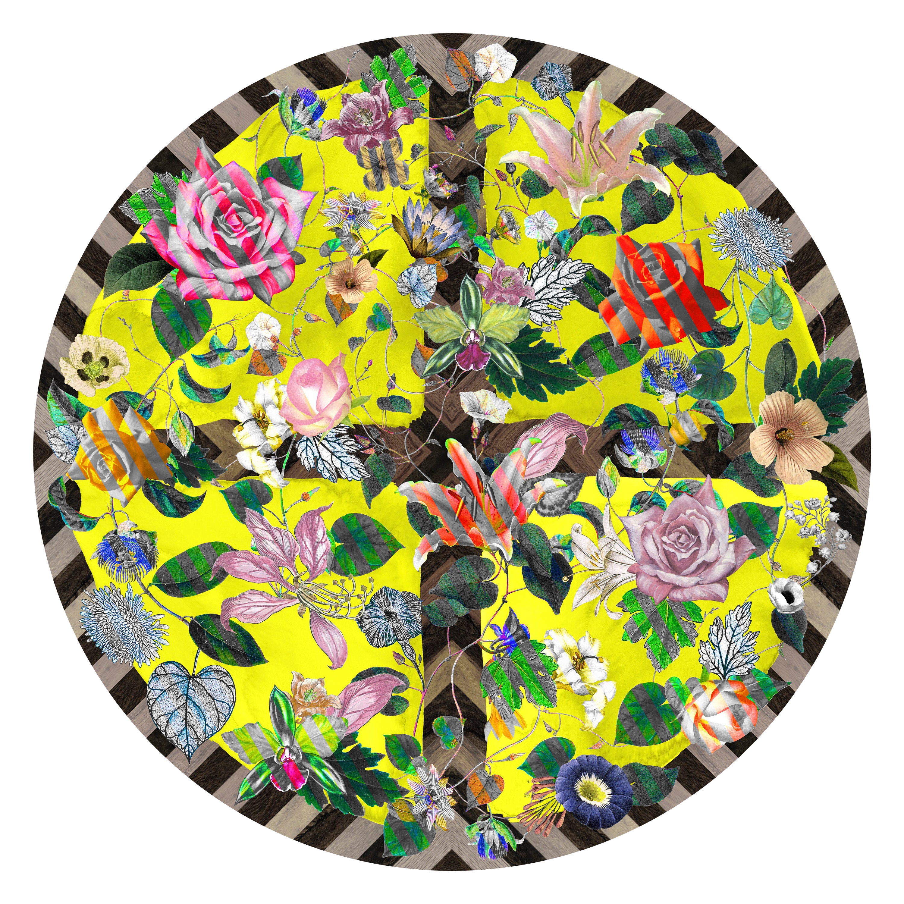 Moooi Small Citrus Rug in Low Pile Polyamide by Christian Lacroix Maison