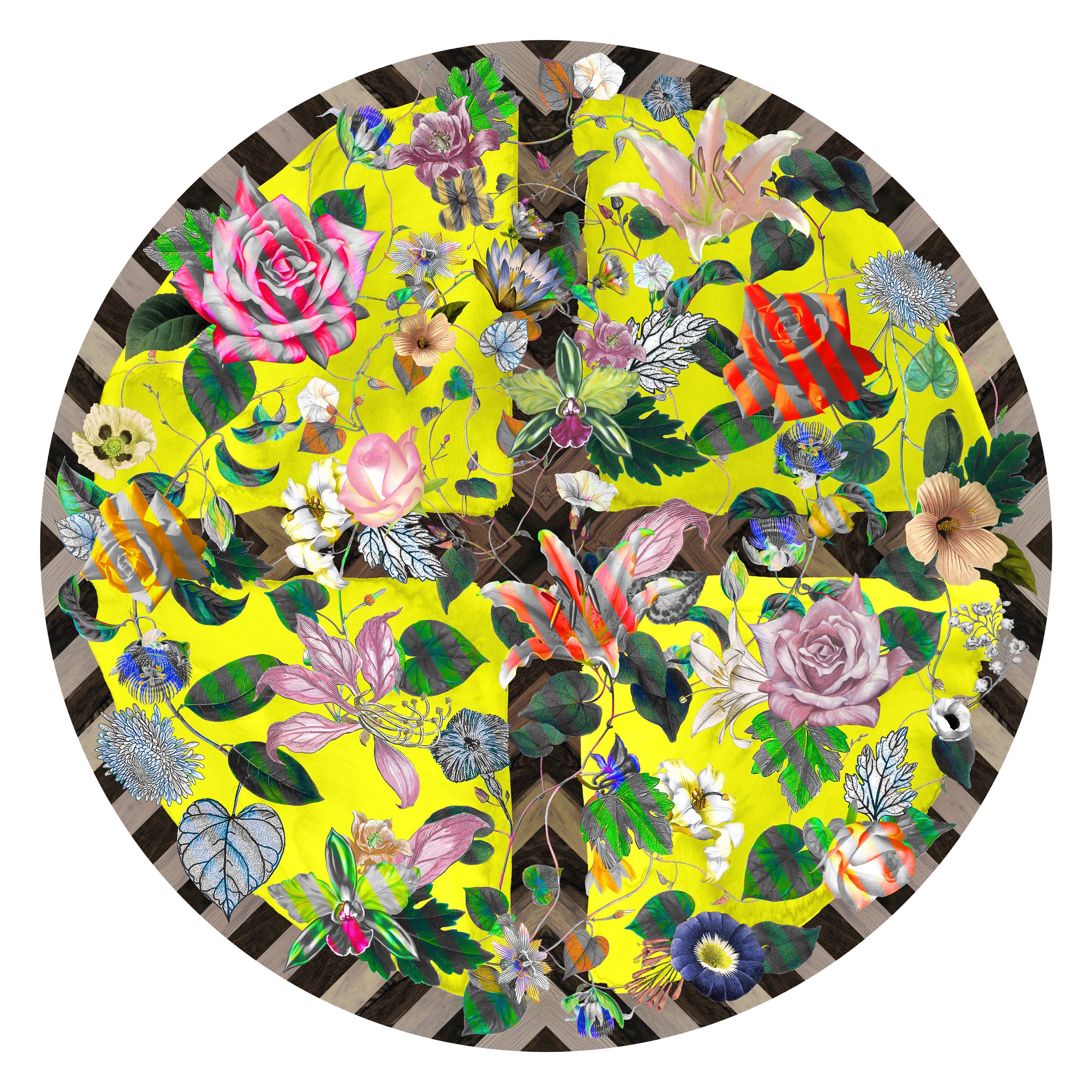 Alfombra Moooi Small Citrus de lana by Christian Lacroix Maison