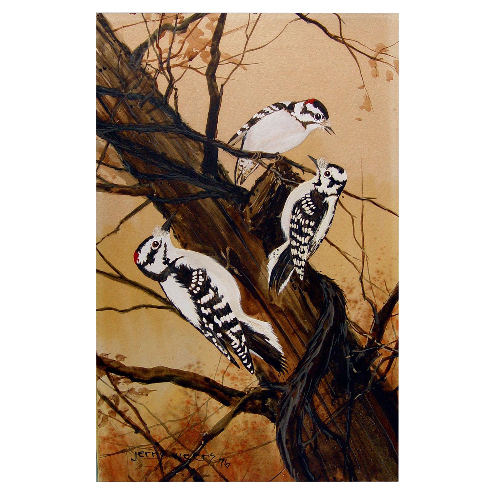 1976 Jerry Weers Downey Woodpeckers Painting