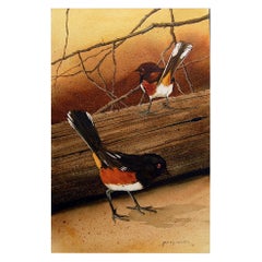 1976 Spotted Towhee Sparrow Painting by Jerry Weers