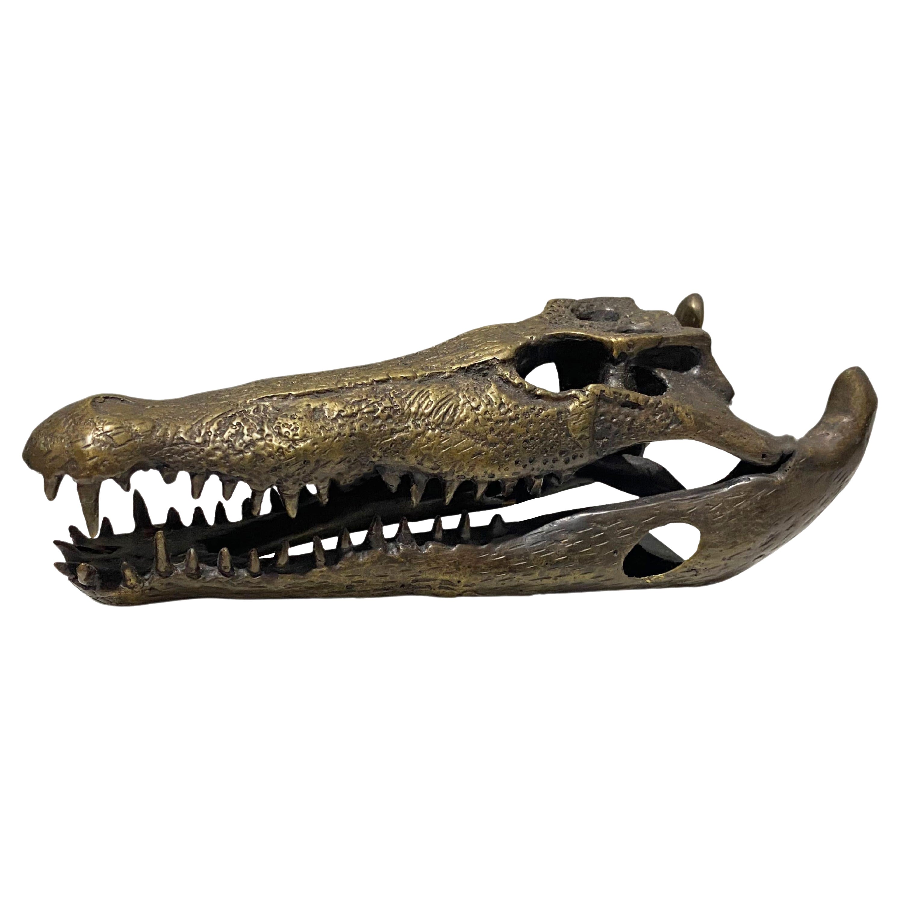 Life Sized Cast Bronze Crocodile Skull Sculpture