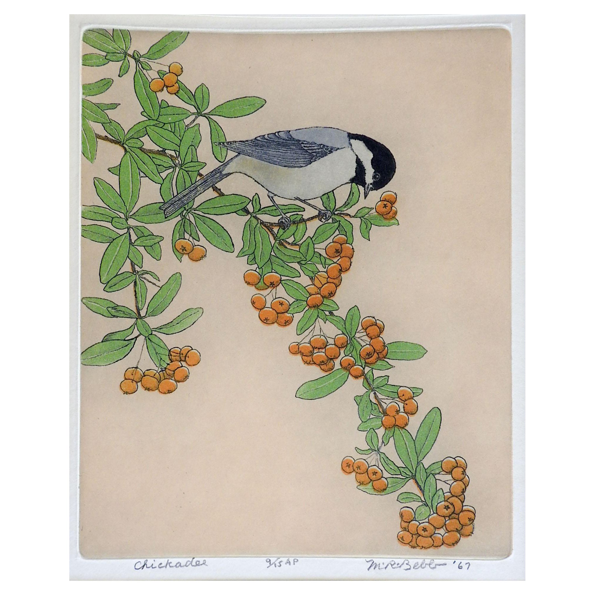 Vintage 1967 Maurie Bebb Chickadee Aquatint Etching For Sale
