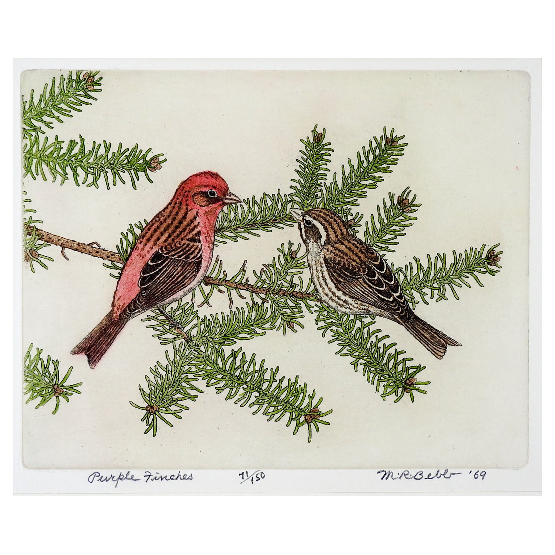 Vintage 1969 Maurice Bebb Purple Finches Aquatint Etching For Sale